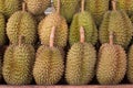 Durian,the fruit in Thailand. tropical fruit delicious, sweet an