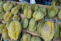 Durian,the fruit in Thailand. tropical fruit delicious, sweet and good smell sale at market Royalty Free Stock Photo