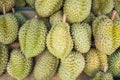 Durian,the fruit in Thailand. tropical fruit delicious, sweet and good smell sale at market Royalty Free Stock Photo