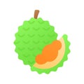 Durian fruit vector design, amazing icon design, asian fruit