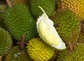 Durian fruits, thailand