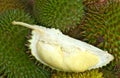 Durian fruits, thailand