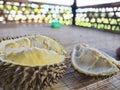 Durian fruits yellow cute delicious
