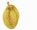 Durian green ball in white background