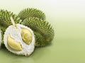 Durian on green solid