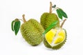 Durian Royalty Free Stock Photo