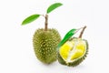 Durian Royalty Free Stock Photo