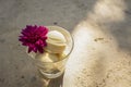 Durian ice cream in a glass. Royalty Free Stock Photo