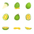 Durian icon set, cartoon style Royalty Free Stock Photo