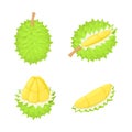 Durian icons set, isometric style