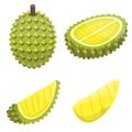 Durian icons set, isometric style