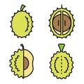 Durian icons set vector flat