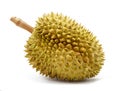 Durian isolated