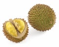 Durian isolated