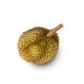 Durian isolated on white background with clipping path, full depth of field. Royalty Free Stock Photo