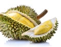 Durian isolated on white background