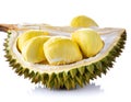 Durian isolated on white background