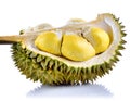 Durian isolated on white background