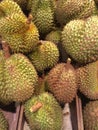 Durian, Royalty Free Stock Photo