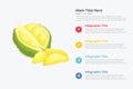 Durian king fruit infographics with some point title description for information template -