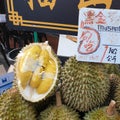 Durian king fruit musang