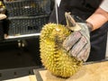 Durian king of fruit in Thailand. Royalty Free Stock Photo
