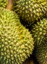 Durian king fruit Thailand strongly smelling, ban on bringing in a hotel and luggage Royalty Free Stock Photo