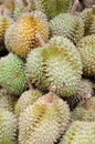 Durian King of Fruits