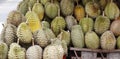 Durian King of fruits Royalty Free Stock Photo