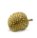 Durian is a king of fruits,  Monthong Durian, on white background Royalty Free Stock Photo