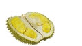 Durian the king of fruits