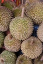 Durian King