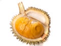 Durian Lai, Durio Kutejensis, Yellow Durian of Borneo Kalimantan