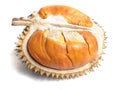 Durian Lai, Durio Kutejensis, Yellow Durian of Borneo Kalimantan Royalty Free Stock Photo