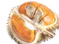 Durian Lai, Durio Kutejensis, Yellow Durian of Borneo Kalimantan