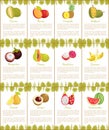 Durian and Mango Mangosteen Posters Set Vector Royalty Free Stock Photo