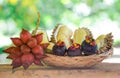 Durian,mangosteen,sala fruits in the basket.background blur bokeh