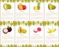 Durian and Mangosteen Slices Posters Set Vector Royalty Free Stock Photo