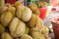 Durian in the market.Taste of a durian fruit buffet festival Royalty Free Stock Photo