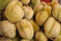 Durian in the market.Taste of a durian fruit buffet festival Royalty Free Stock Photo
