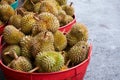 Durian in the market.Taste of a durian fruit buffet festival Royalty Free Stock Photo