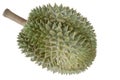 Durian is the most popular fruit in Thailand isolated on white background.