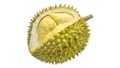 Durian Tropical fruit