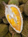 Durian