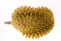 Durian is regarded as the fruit king.