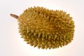 Durian is regarded as the fruit king.