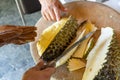 Durian Seller are showing how to open and explain informations and details to audiences about type of durain on the lunch table Royalty Free Stock Photo