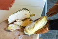 Durian Seller are showing how to open and explain informations and details to audiences about type of durain on the lunch table Royalty Free Stock Photo