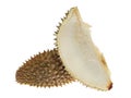 Durian Shell Royalty Free Stock Photo