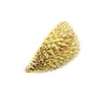 Durian shell, Thorns of durian on white background Royalty Free Stock Photo